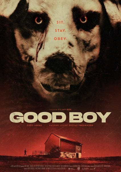 good boy 2022 wikipedia|good boy 2022 online free.